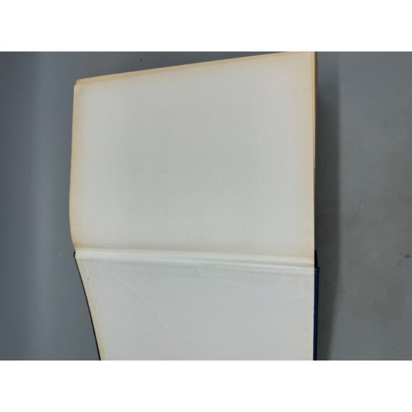 Websters New Universal Unabridged Dictionary Deluxe 2nd Edition hardcover book - Picture 5 of 16